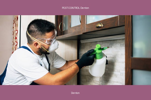 PEST CONTROL Denton